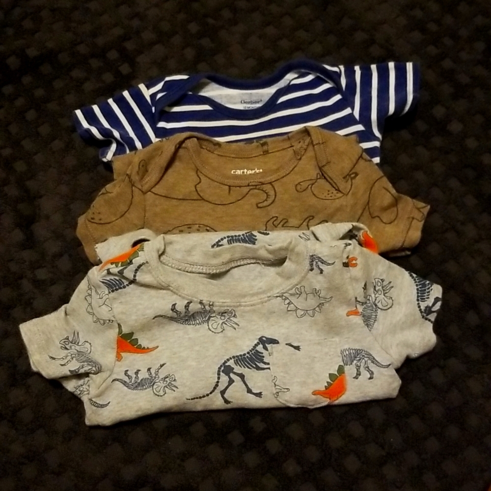 12 M Bundle Carter's Bodysuits